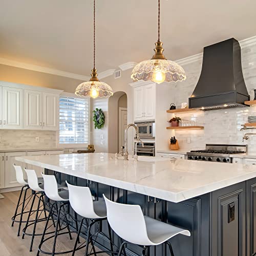 2 Pack Pendant Light Vintage Oil Rubbed Bronze Metal Glass Shade Chandelier