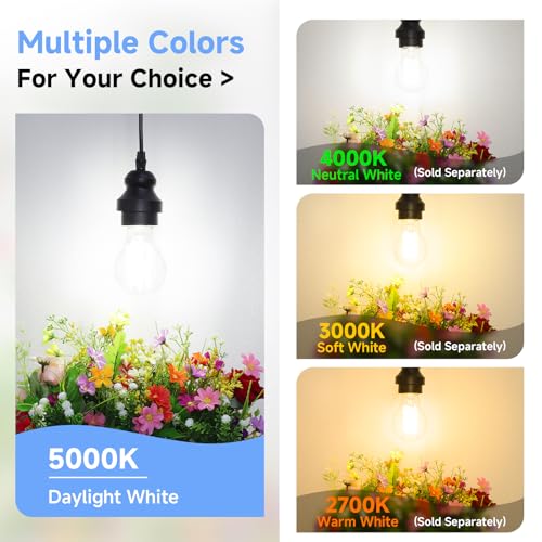 A19 Vintage LED Edison Bulbs Dimmable 60W Equivalent High Brightness (10 Count)