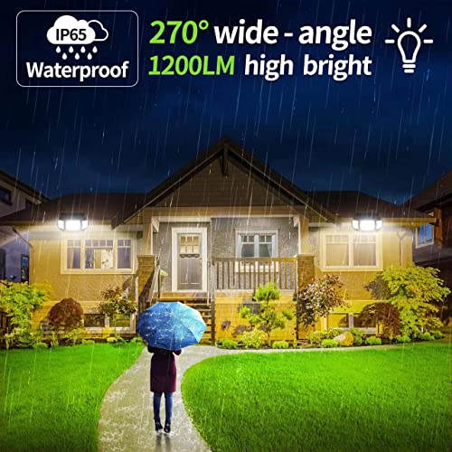 Solar Outdoor Lights (2 Count)