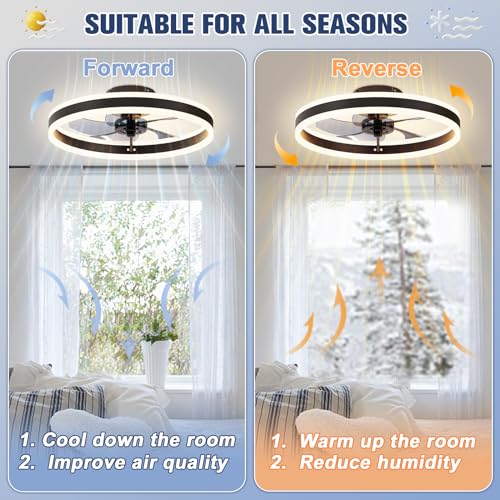 Low Profile Ceiling Fans with Lights and Remote