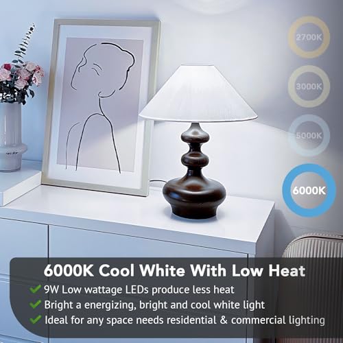 A19 LED Light Bulbs (24 Count)