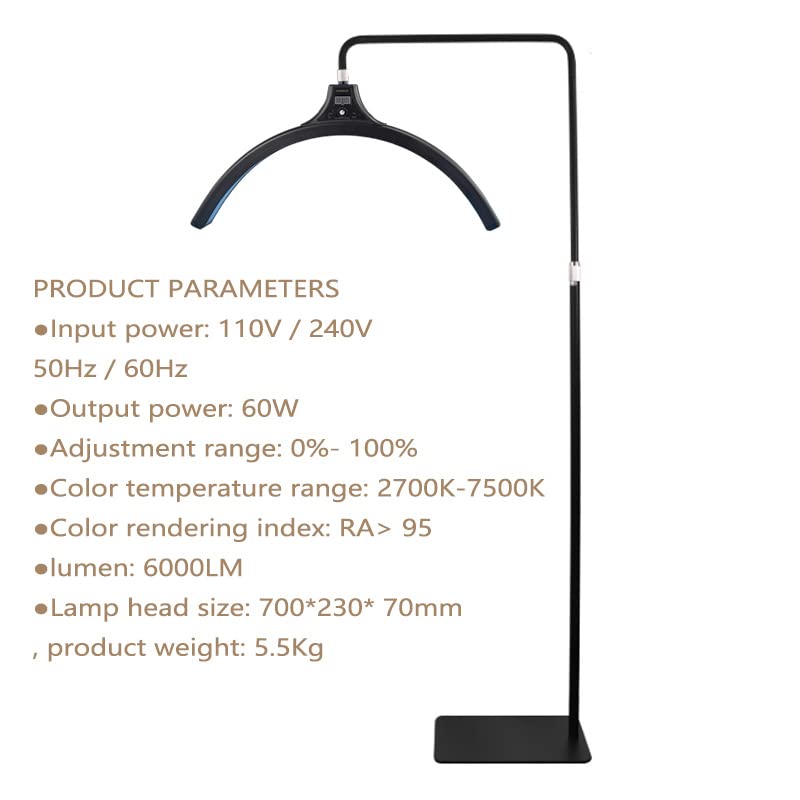 Eyelash LED Floor Light