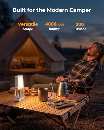 2 Pack Camping Light Lanterns (2 Count)