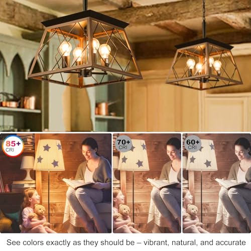 Vintage LED Edison Light Bulbs 60 Watt (6 Count)