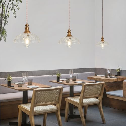 Plug in Pendant Light Industrial Pendant Lighting with Plug in Cord 9.8ft Hanging Lamps Clear Glass Shade ‎Bronze Light Fixture for Living Room Kitchen Dining Room Bedroom