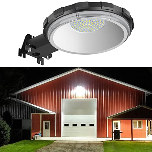 100W Dusk to Dawn Outdoor Lighting with 10000LM 5000K Daylight