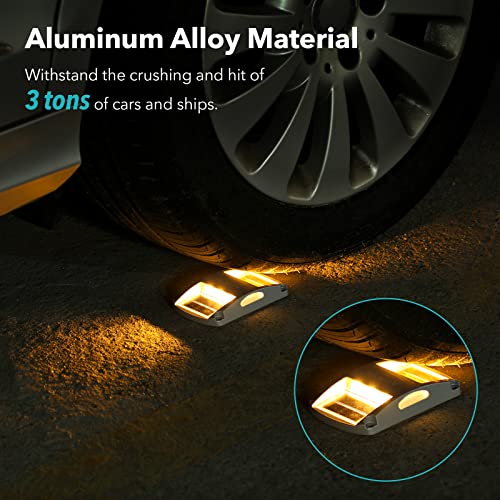 Solar Driveway Light 1 Pack