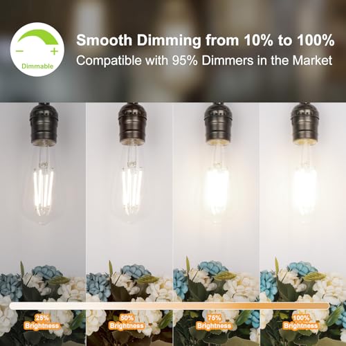 ST58 E26 LED Light Bulbs (4 Count)
