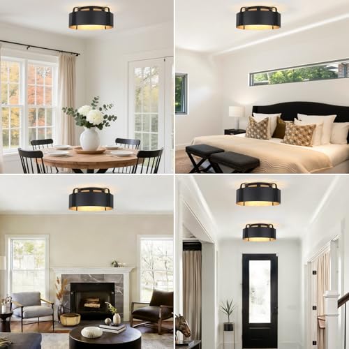 Flush Mount Ceiling Light