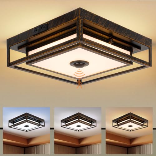 LED Motion Sensor Outdoor Ceiling Light Dusk to Dawn Black Brushed Gold