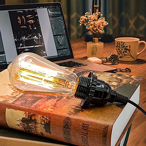 Plug in Hanging Light Kit