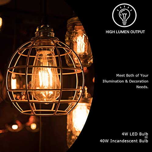 LED Edison Bulbs (6 Count)