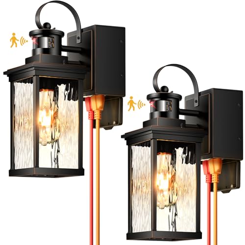 2 Pack Front Porch Lights Outdoor Wall Mount Sconce with GFCI Outlet (2 Count)