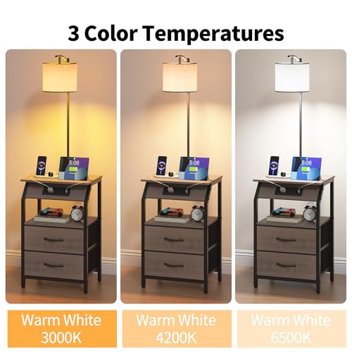 End Table with Floor Lamp