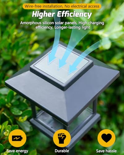 Solar Pathyway Lights Outdoor (2 Count)