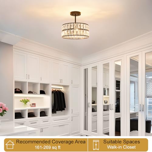 Matte Black Crystal Ceiling Light