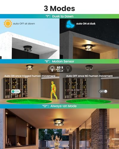 Outdoor Flush Mount Ceiling Light