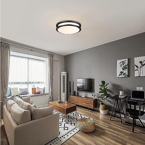 Black Flush Mount Ceiling Light