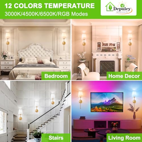 Battery Operated Wall Sconce (2 Count)