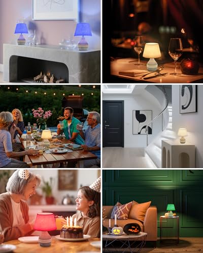 10" H Small Rechargeable Cordless Ceramic Table Lamp