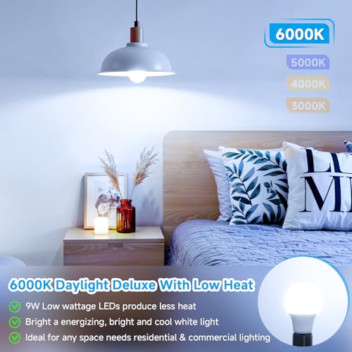 A19 LED Light Bulbs (4 Count)