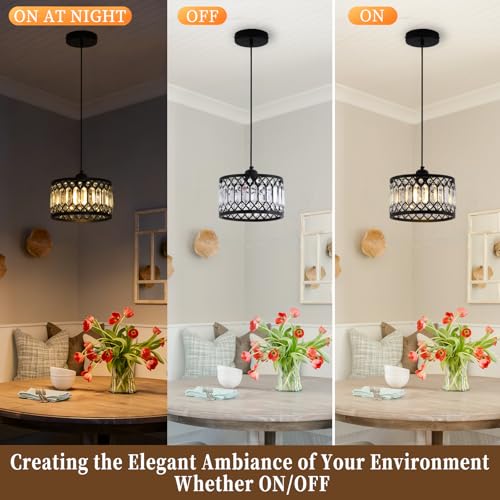 Crystal Black Pendant Light Fixture