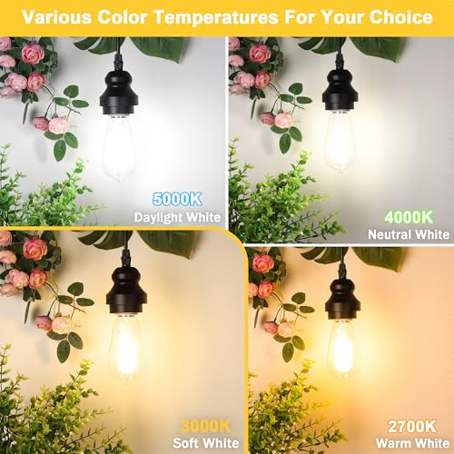 4 Pack Vintage Edison Bulbs 60W Equivalent (4 Count)