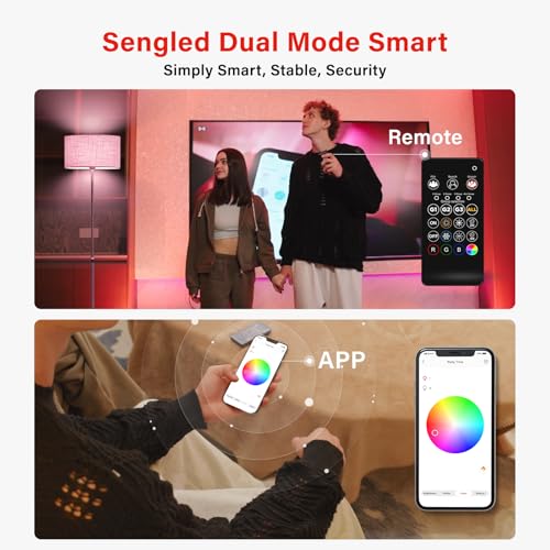 Dual Mode Smart Light Bulbs with Remote & App Control