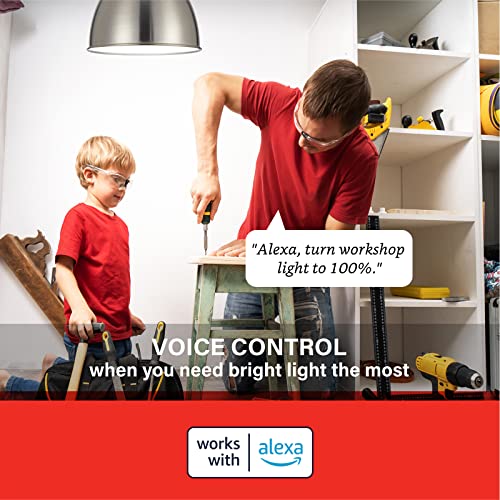Alexa Light Bulb 75W Equivalent (4 Count)