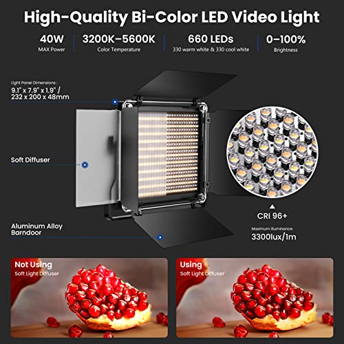 2 Pack Bi Color 660 LED Video Light and Stand Kit (2 Light and stand kit)