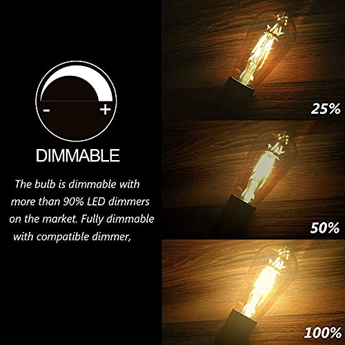 Edison Bulb ST64