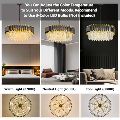 Black and Gold Crystal Chandelier Contemporary 24" with 5