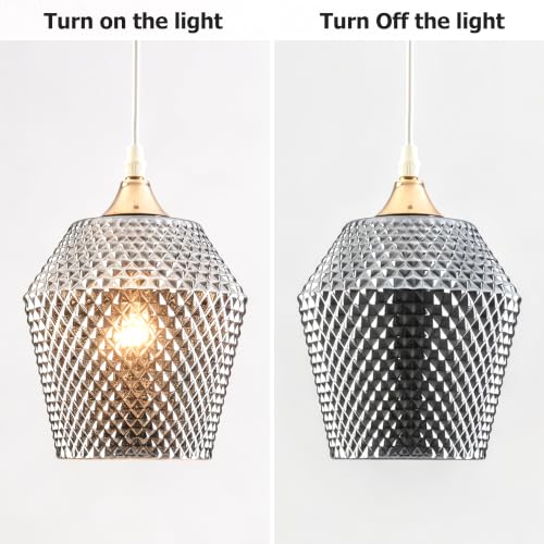 2Pcs Small Glass Lamp Shades (2 Count)