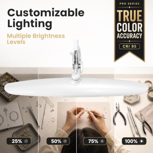 Pro Series LED Desk Lamp