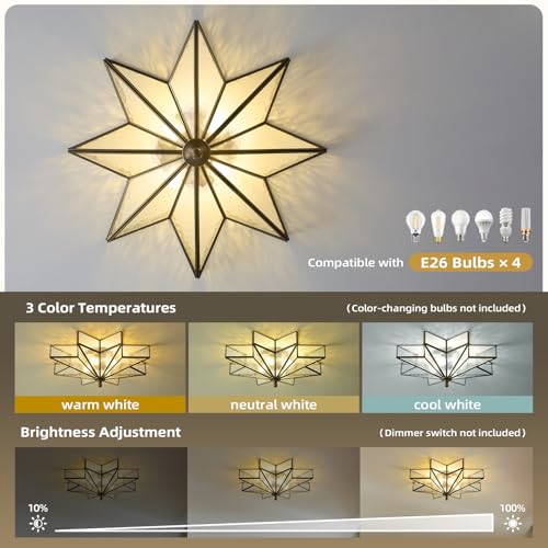 Star Vintage Bronze Ceiling Light