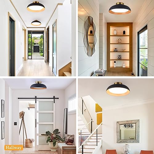 Flush Mount Ceiling Light