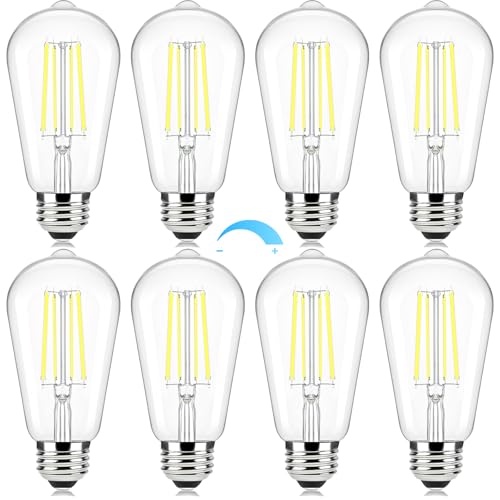 8 Pack Edison Light Bulbs 60W Equivalent (8 Count)