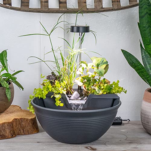 AquaGarden Tabletop Fountain Kit