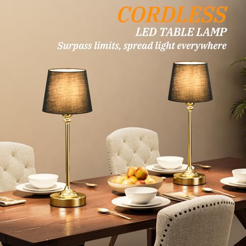 Cordless Table Lamps Rechargeable Set (2 Count)