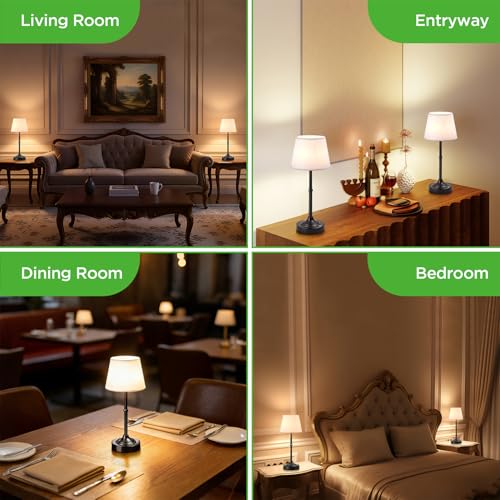 Cordless Table Lamp
