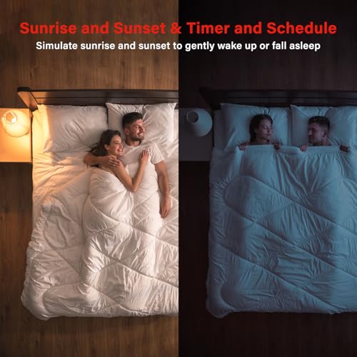Dual Mode Smart Light Bulbs with Remote & App Control