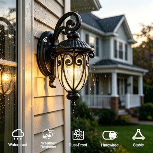 Outdoor Wall Light with Dusk to Dawn Sensor