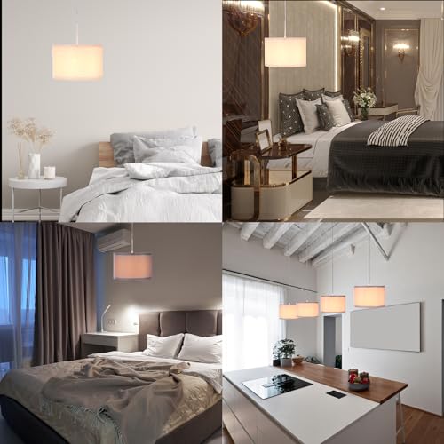Plug in Pendant Light