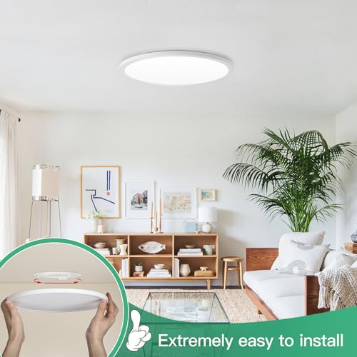 12 Inch LED Flush Mount Ceiling Light Fixture (2 Count)