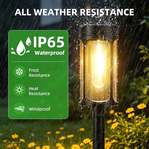 Solar Lights Outdoor (12 Count)