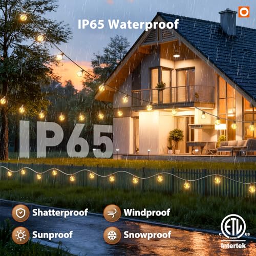 Outdoor String Lights 100FT G40 with APP 54 LED Shatterproof Bulb (100 Foot)