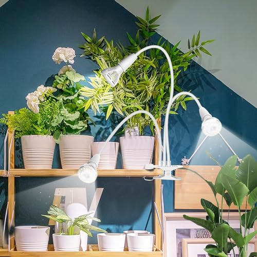Grow Lights for Indoor Plants
