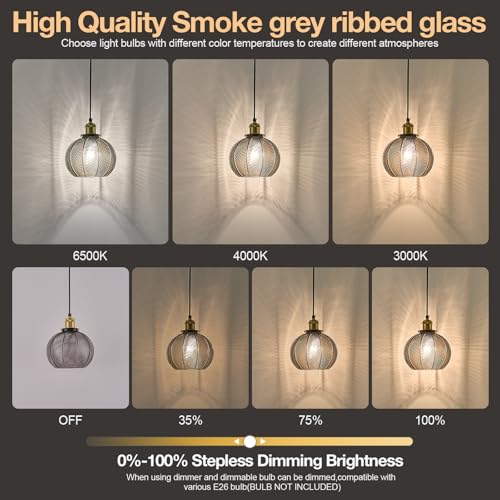 Modern Plug in Hanging Light