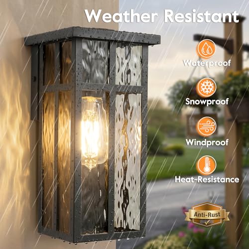 Outdoor Wall Light Fixtures (2 Count)