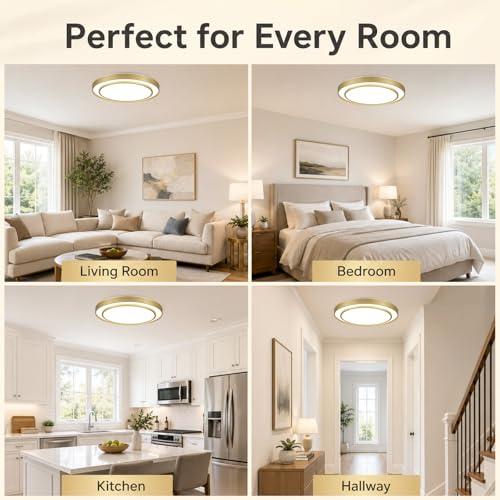 Gold LED Flush Mount Ceiling Light 20 Inch (Gold / 20Inch)